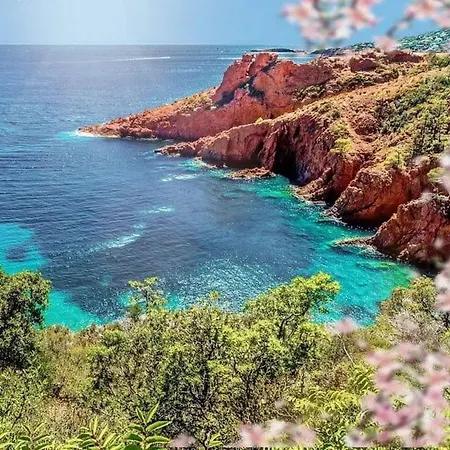 Bel Vue Sur Parc 1 Fermee Et 1 Espace Cabine Apartment Saint-Raphael (Var)